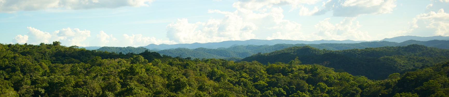 Belize’s Chiquibul Forest